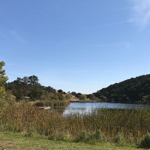 Meet your Posher, True